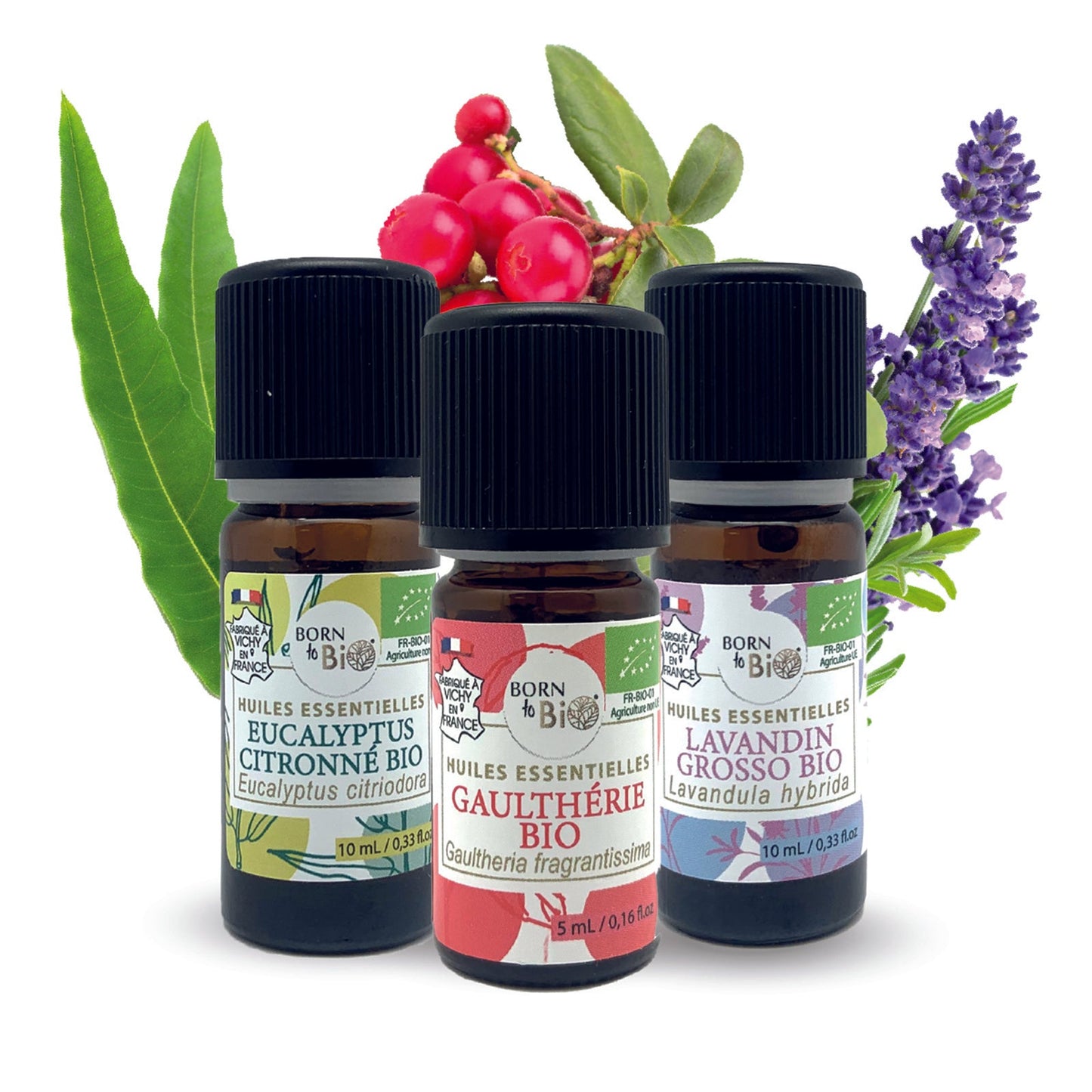 Coffret thématique sport-1